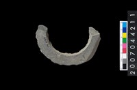 藏品(石環製作材料-帶搓磨痕石環粗胚)的圖片