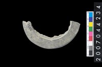 藏品(石環製作材料－帶搓磨痕石環粗胚)的圖片