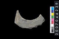 藏品(石環製作材料－周緣修整石環粗胚)的圖片