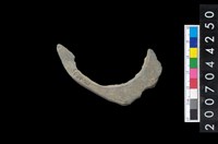 藏品(石環製作材料－帶搓磨痕石環粗胚)的圖片