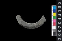 藏品(石環製作材料－帶搓磨痕石環粗胚)的圖片