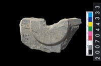 藏品(石環製作材料-旋截內核粗胚)的圖片