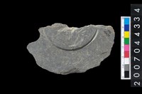 藏品(石環製作材料-旋截內核粗胚)的圖片