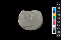 藏品(石環製作廢料-旋截內核)的圖片