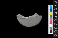 藏品(石環製作廢料-旋截內核)的圖片