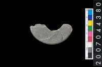 藏品(石環製作廢料-旋截內核)的圖片