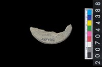 藏品(石環製作廢料-旋截內核)的圖片