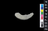 藏品(石環製作廢料-旋截內核)的圖片