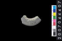 藏品(石環製作廢料－旋截內核)的圖片