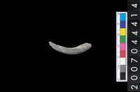 藏品(石環製作廢料－旋截內核)的圖片