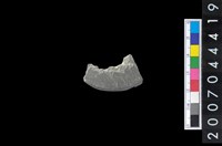 藏品(石環製作廢料－旋截內核)的圖片