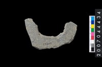 藏品(石環製作材料-中央帶啄孔打製圓板)的圖片