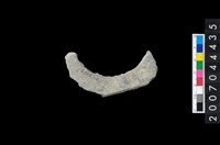 藏品(石環製作材料-旋截圓環粗胚)的圖片