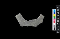 藏品(石環製作材料-周緣修整石環粗胚)的圖片