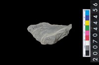 藏品(石環製作廢料-石環製作破片)的圖片