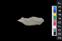 藏品(石環製作廢料-石環製作破片)的圖片