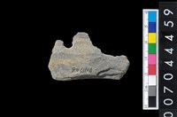 藏品(不明石器殘件)的圖片
