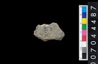 藏品(石環製作廢料－石環製作破片)的圖片