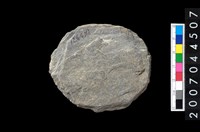 藏品(石錢（石紡輪）)的圖片