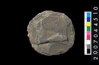 藏品(石錢（石紡輪）)的圖片