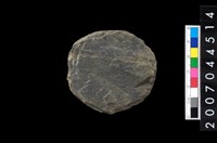 藏品(石錢（石紡輪）)的圖片