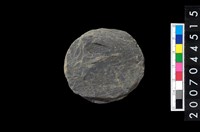 藏品(石錢（石紡輪）)的圖片