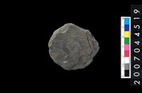 藏品(石錢（石紡輪）)的圖片