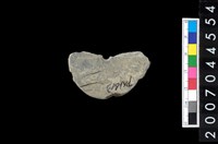 藏品(石錢（石紡輪）)的圖片