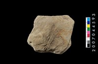 藏品(砥石)的圖片