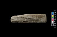 藏品(有槽石棒)的圖片