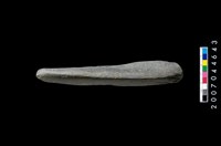 藏品(有槽石棒)的圖片