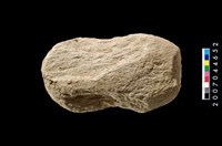 藏品(石網墜)的圖片