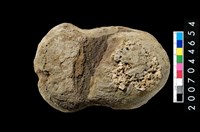 藏品(石網墜)的圖片