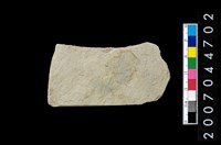 藏品(不明磨製石器)的圖片