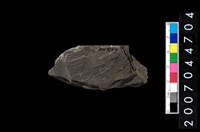 藏品(不明石器殘件)的圖片