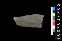 藏品(不明磨製石器殘件)的圖片