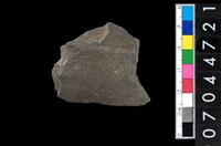 藏品(不明磨製石器殘件)的圖片