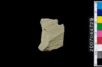 藏品(磨製石器殘件)的圖片