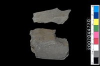 藏品(石矛殘件)的圖片