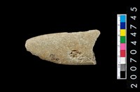 藏品(磨製石器殘件)的圖片