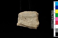 藏品(不明石器殘件)的圖片