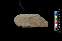 藏品(不明石器殘件)的圖片