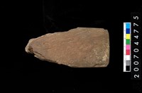藏品(磨製石器殘件)的圖片