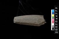 藏品(磨製石器殘件)的圖片