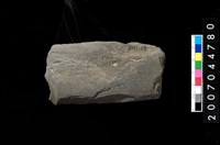 藏品(磨製石器殘件)的圖片