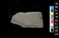 藏品(磨製石器殘件)的圖片