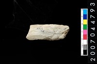 藏品(磨製石器殘件)的圖片