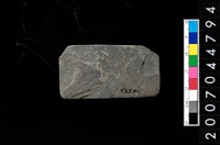 藏品(磨製石器)的圖片