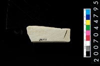 藏品(石廢料)的圖片