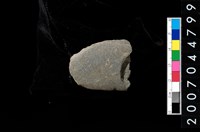 藏品(磨製石器殘件)的圖片